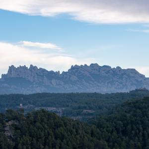 20190107_ParcRuralMontserrat_MarcPuigPerez_037_MP22678