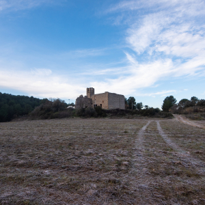 20190107_ParcRuralMontserrat_MarcPuigPerez_048_MP22725