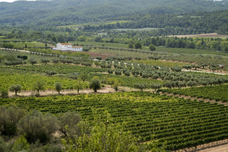 20210915_DTA_PRM_PatxiUriz__Piera_DSC7457_1