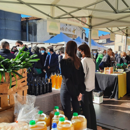 486352960_647734808210823_7957795408622203306_n