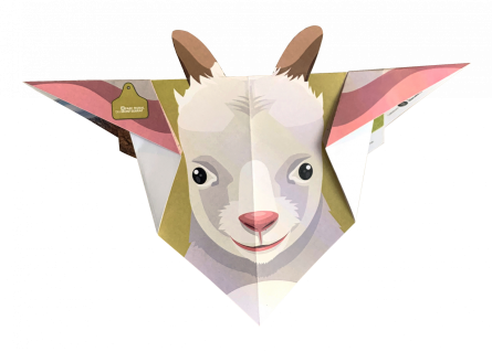 7.png