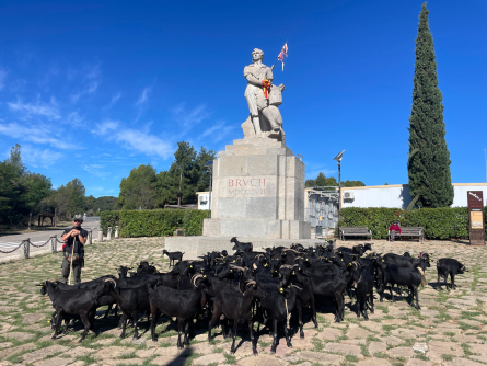 canmassana4
