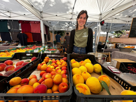 fe6cef3b-d2ec-4556-88e7-d0d8cd4cf0f8