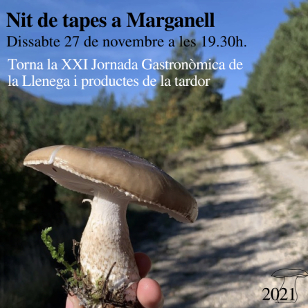 llenegada21