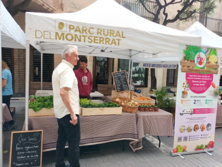 Mercat PRM.jpeg