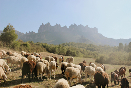 WhatsApp Image 2025-12-16 at 11.03.28