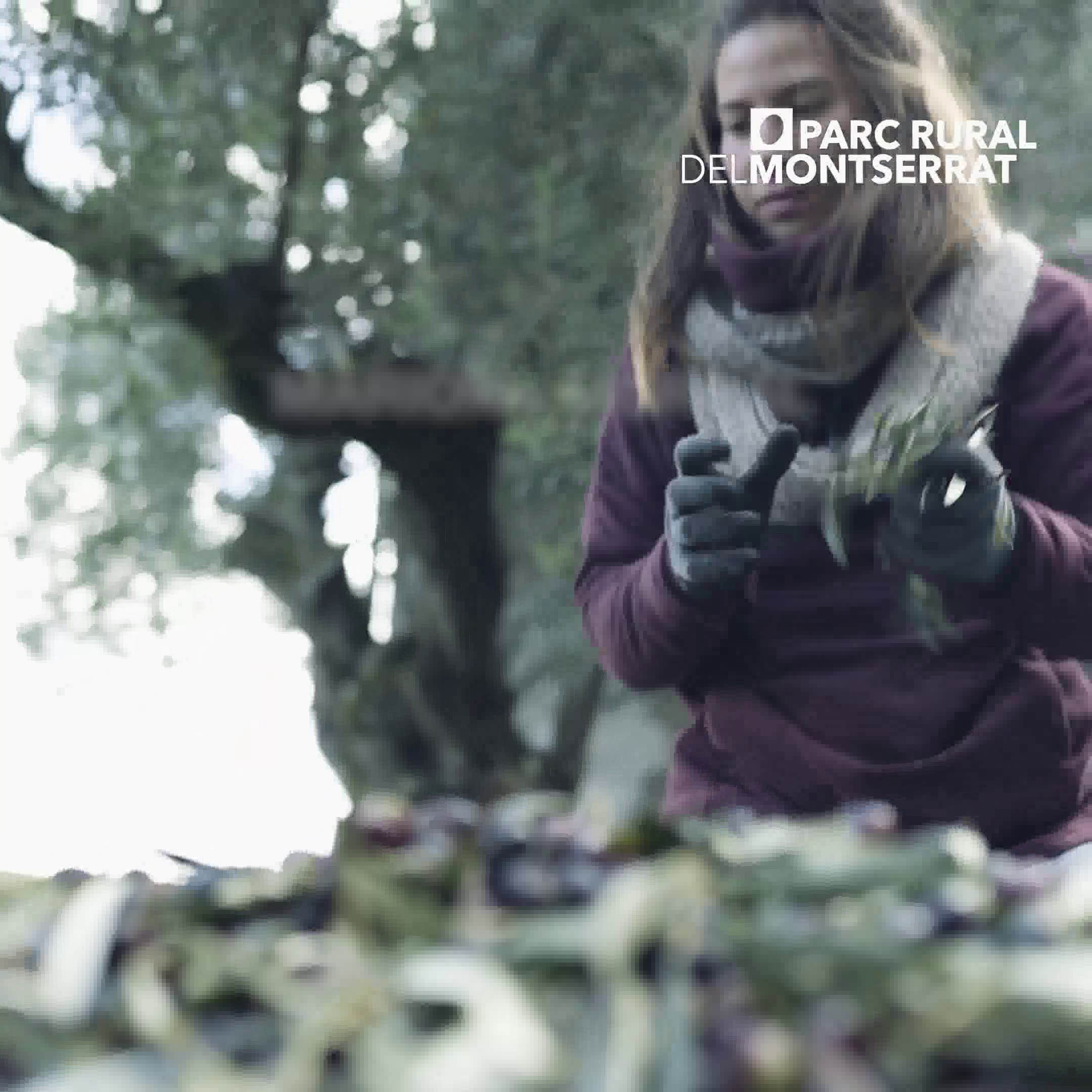 06-mariona-capsula.mp4